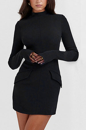 Ladies Elegant Mock Neck Long Sleeve Mini Dress