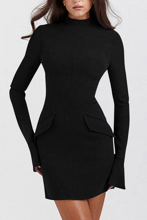 Ladies Elegant Mock Neck Long Sleeve Mini Dress